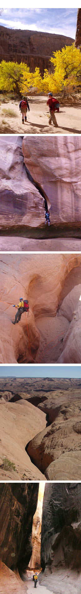 robbers roost canyoneering