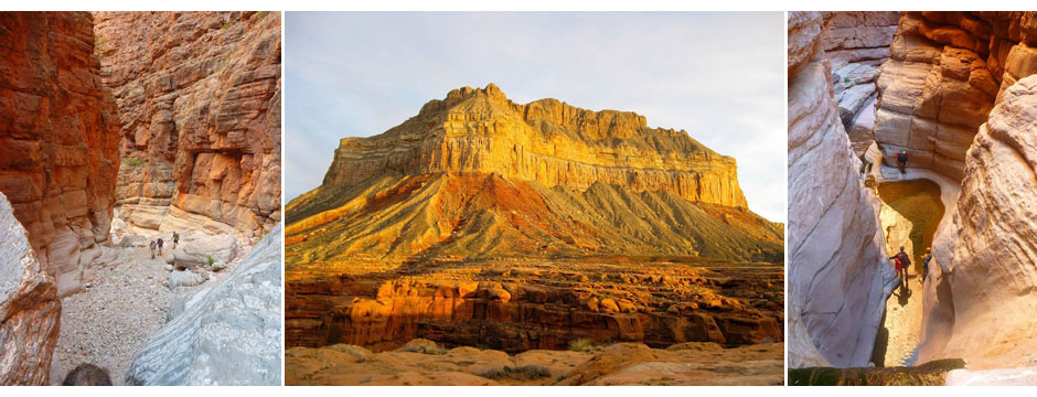 great thumb mesa