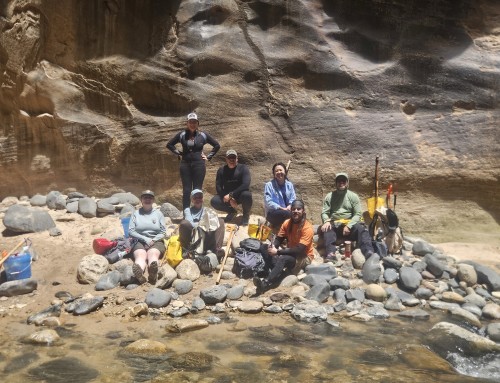 CAC Leads Zion Narrows Cleanup Effort – 5.27.26